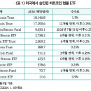 가상자산시장 현황 및 최근 미국과 홍콩의 가상자산 현물 ETF 승인 이미지