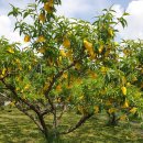 선아농장 이미지