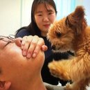 재순농장 이미지