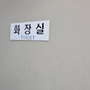 흑돼지수 이미지