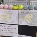 대전 테니스 레슨(대전 도안실내테니스장)#내돈내산#테린이