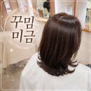 샤르망헤어샵 | 미금역미용실 셀프 염색 탈출! 코코아 브라운 염색 후기