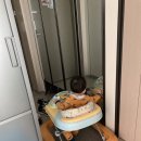 예스카센타 이미지