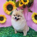 빛나개살롱 이미지