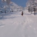 겨울나그네 이미지