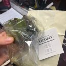 씽킹 메이커스 | 에듀메이커스 강의, 대학교 첫 교내활동 후기