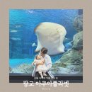 수원 아기와 가볼 만한 곳 광교 아쿠아플라넷 주차 할인 예매 수유실