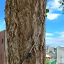 어부포차 이미지