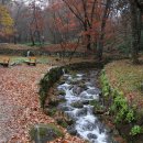 순천-46호 이미지