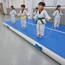 쌍용태권도장