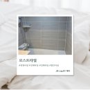 더모스트에이민박 | [마산] 마산타일 화장실 공사 완료 모스트타일 솔직후기