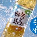 하늘보리 이미지