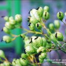 용항리경로당 이미지