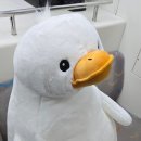피규어 뽑기방 | 대구 동성로 뽑기방 방문 후기! 다양한 피규어들과 경품들이 가득