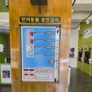 이지세탁 | 동탄 코인 빨래방!어쩌다 봄 맞이 빨래~