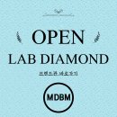 금광쥬얼리 | 신상☀️✨SUMMER ALHAMBRA BRACELET COLLECTION✨☀️빈티지 5모티브 & 기요세 3 다이아 2모티브 스페셜 공개 💎