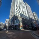 향기펫샵 | 인천 파충류샵 크레리즘 영종 크레스티드게코 도마뱀 1년차 사육자의 솔직후기