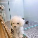 다가온 동물병원 이미지