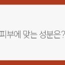 이다 이미지