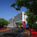 고려대학교(세종) 행정대학원 이미지