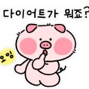 미스터꼼장어 이미지