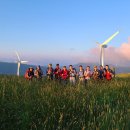 삼영목장 이미지