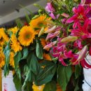 화려한 날의 오후 이미지