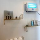 마이미샵 이미지