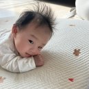 딱조와