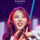 개도널사랑해 이미지