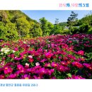 작약정원