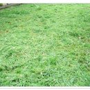 자라농장 이미지