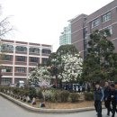 동산고등학교 이미지