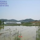 소동마을 농로 이미지