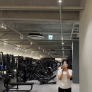 더 본짐 이미지