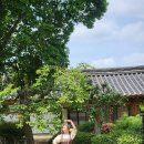 (주)해말금 | 일요일에 만나는 안씨고택 공연 체험 💃🏻❤️