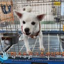 해맞이동물병원 이미지