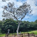 백송푸드 이미지