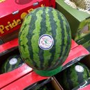 사평대로28길 31 (1) 이미지