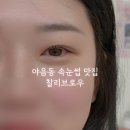 브로우 초이 | 울산 야음동 속눈썹펌 맛집 찰리브로우 펌 후기