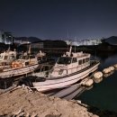 조행 | 입문자와 함께 하였던 지깅 바다낚시 조행 후기 낚시인이 되어 가는 과정