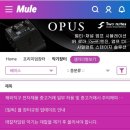 [취미/베이스] 나의 베이스 여정, 어떤 베이스를 살까?