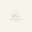 달빛플로라