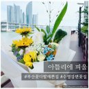 아틀리에피울 이미지