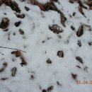 운제산장 이미지