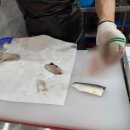 어양센트럴파크 | 익산 맛집 어양수산 왕새우구이, 전어회 후기