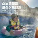 오션슈즈 | 천안 소노벨 아기랑 겨울 오션어드벤처 평일 방문 후기 아쿠아슈즈 구명조끼 필수