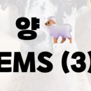 영국2농장 이미지