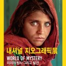 세상을 읽는 보드게임 이미지