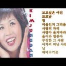 김정단 이미지